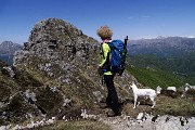 La cavalcata della manzoniana cresta nord del Resegone il 15 maggio 2016 - FOTOGALLERY